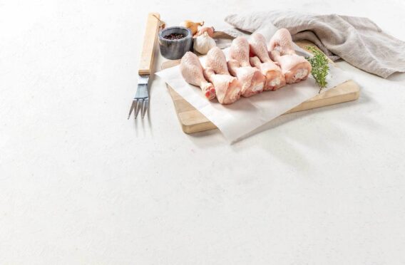 3002635 Kippenonderbouten VP