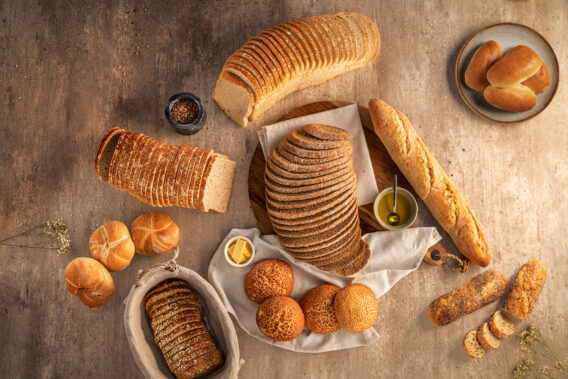 W36 brood spread BEL